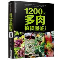 111200种多肉植物图鉴:珍藏版(汉竹)978757130648922