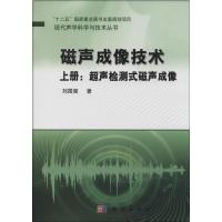 11磁声成像技术(上)(超声检测式磁声成像)978703041233122