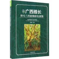 11广西雅长野生兰科植物彩色图集978750388868722