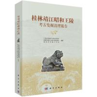 11桂林靖江昭和王陵考古发掘清理报告978703041383322