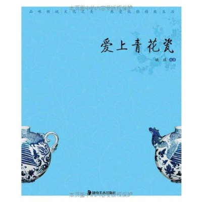 11读图时代·“优雅中国”系列 爱上青花瓷978753564506722