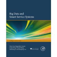 11Big Data and Smart Service Systems(大数据与智慧服务系统)