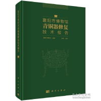 11襄阳市博物馆青铜器修复技术报告978703051838522