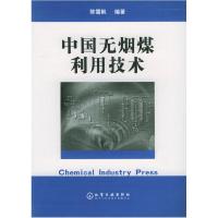 11中国无烟煤利用技术978750256792722