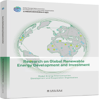 11全球清洁能源开发与投资研究978751985092022