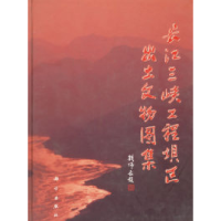 11长江三峡工程坝区出土文物图集978703006220822