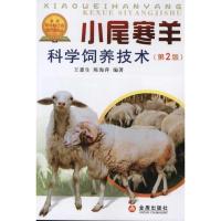 11小尾寒羊科学饲养技术(第2版)978750826341022