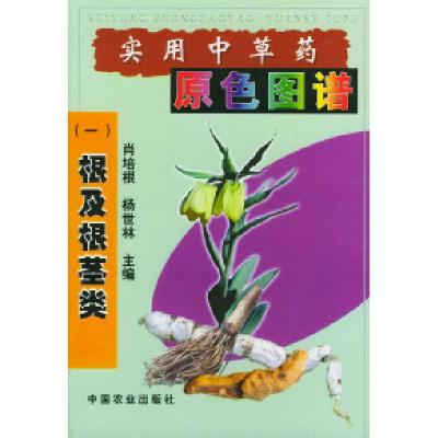 11实用中草药原色图谱(一)根茎类978710906907722