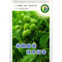 11核桃栽培技术问答——中国农村书库978710904994922