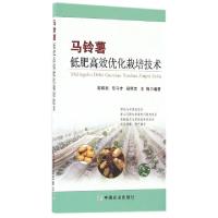 11马铃薯低肥高效优化栽培技术978710922027022