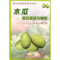 11木瓜高效栽培与利用——新兴水果栽培技术丛书978710908106222