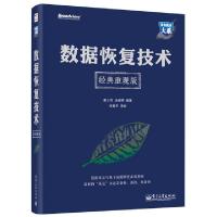 11数据恢复技术(经典重现版)/安全技术大系978712123537522