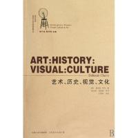 11艺术历史视觉文化/西方当代视觉文化艺术精品译丛9787534425103