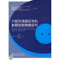 11六相交流感应电机新颖控制策略研究9787508390918LL