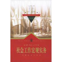 11社会工作宏观实务/世界社区理论与实务经典丛书9787801465214LL