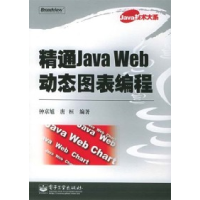 11精通JavaWeb动态图表编程9787121014888LL