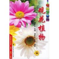 11明艳芳香的观花植物/家庭花卉鉴赏栽培妙用丛书9787530833735LL