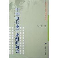 11中国电信业产业组织研究9787564200114LL