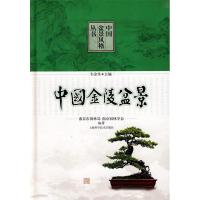 11中国金陵盆景(精)(中国盆景风格丛书)9787532395521LL