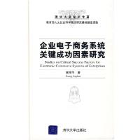 11企业电子商务系统关键成功因素研究9787302189589LL