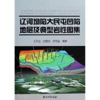 11辽河坳陷大民屯凹陷地层及典型岩性图集9787502197728LL