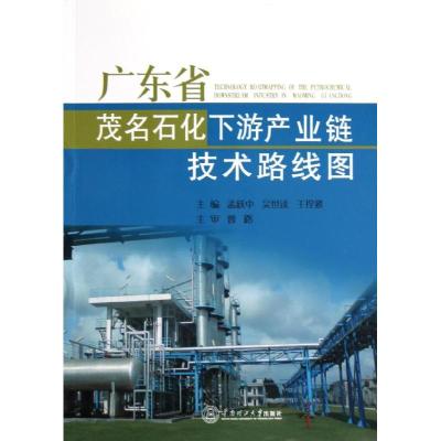 11广东省茂名石化下游产业链技术路线图9787562337492LL