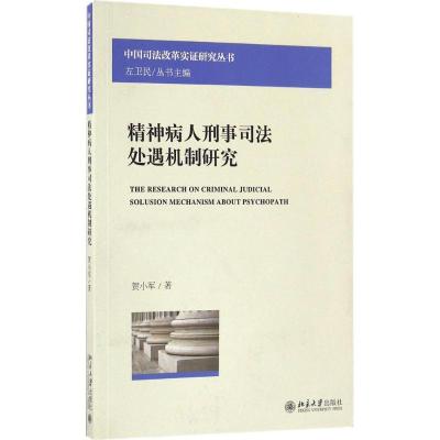 11精神病人刑事司法处遇机制研究9787301249826LL