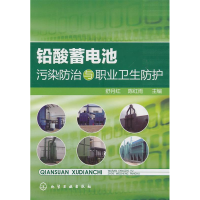 11铅酸蓄电池污染防治与职业卫生防护9787122116918LL