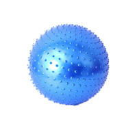 儿童早教球玩具瑜伽球健身球大龙球颗粒 感统训练器材平衡球 蓝色 45CM