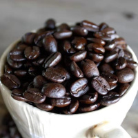 新鲜烘培越南黑咖啡豆浓缩拼配纯苦无糖特浓现磨纯黑咖啡粉可现磨 500g咖啡豆