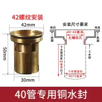 铜防臭地漏芯老式旧地漏改造深水封T型自封翻板地漏内芯40/50管安心抵