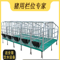 花知趣母猪定位栏母猪产床落地式加厚10位猪用限位栏养殖设备