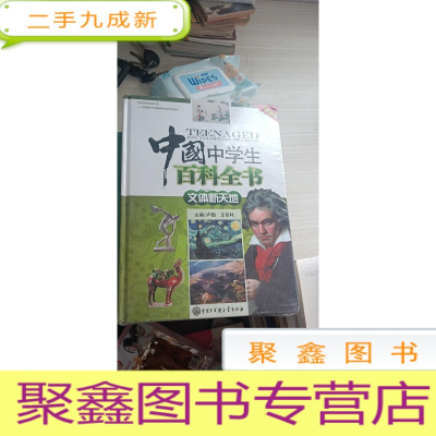 中国中学生百科全书 (全4册