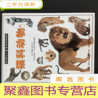 正 九成新目击者丛书:猫科动物