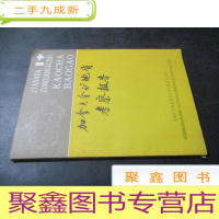 正 九成新加拿大金矿地质考察报告