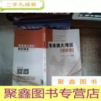 正 九成新粤港澳大湾区知识读本