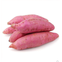 沙地黄心 烤薯带箱5斤装 沙地红薯 优质地瓜 净重4.4-4.7斤鲜贝达蔬菜