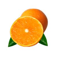 鲜贝达 爱媛38号果冻橙 5斤中大果 当季新鲜水果生鲜