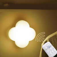 苏宁放心购 幸运无线智能遥控定时调光充电感应小夜灯 可粘可挂 白色暖光款 TR107