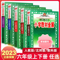 [精选好书 ] 2023新版小学教材全解六年级上下册语文数学英语科学教科版人教版北师版 薛金星教辅小学同步训练课本详解练