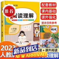 六年级上下册阅读理解专项强化训练语文人教版课内课外阅读训练册