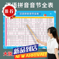 汉语拼音音节全表墙贴挂图一年级声韵母拼音拼读学习神器认读挂图