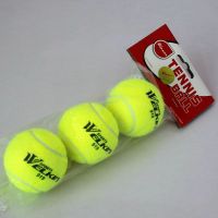 WELKIN网球(12只装)送球袋|weljin网球初学者高弹性耐打训练球拍耐磨初中级比赛球按摩宠物球V7