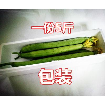 新鲜丝瓜 绿丝瓜寿光蔬菜鲜嫩绿皮丝瓜农家自种5斤