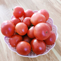丑八怪大西红柿4.5斤 川崎小刘固农场自种新鲜蔬菜