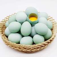 40枚绿壳鸡蛋农家散养土鸡蛋乌鸡蛋青壳鸡蛋新鲜破损包赔