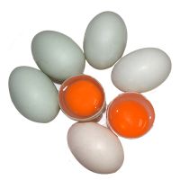 70g标准蛋 [20枚] [大个]新鲜鸭蛋土鸭蛋生鸭蛋新鲜现发绿壳鸭蛋新鲜农村散养鸭蛋