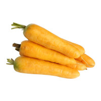 4斤 内蒙古农场种植 新鲜蔬菜黄萝卜生鲜黄萝卜