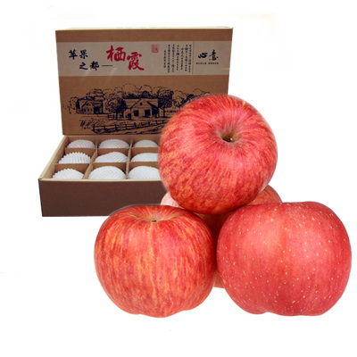 85#果15颗 栖霞苹果礼盒装 12颗红富士苹果新鲜水果平安果