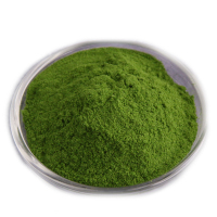 菠菜粉(绿) 500g 果蔬可食用色素 烘焙原料蛋糕彩色面粉
